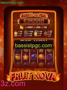 Descubra o Fascinante Mundo de FruitNova